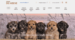 Desktop Screenshot of hondjes.nl